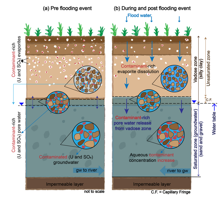 Mechanisms of Contaminant Transport